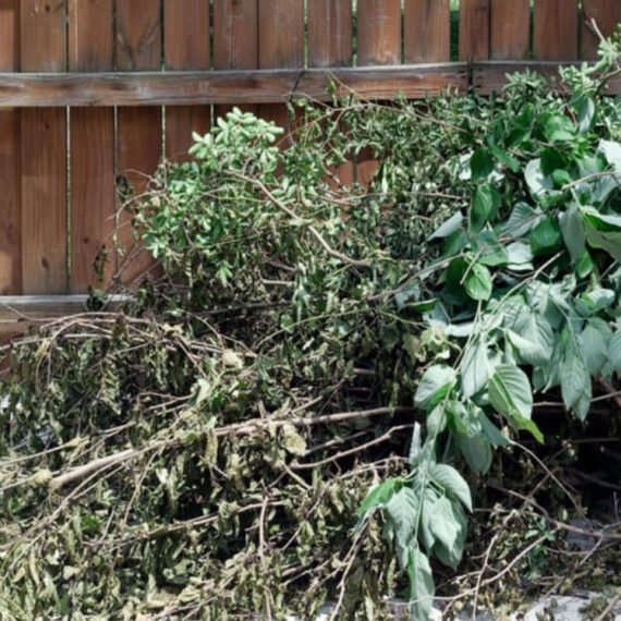 Yard Waste Removal Hauling Services Lakeway Tx