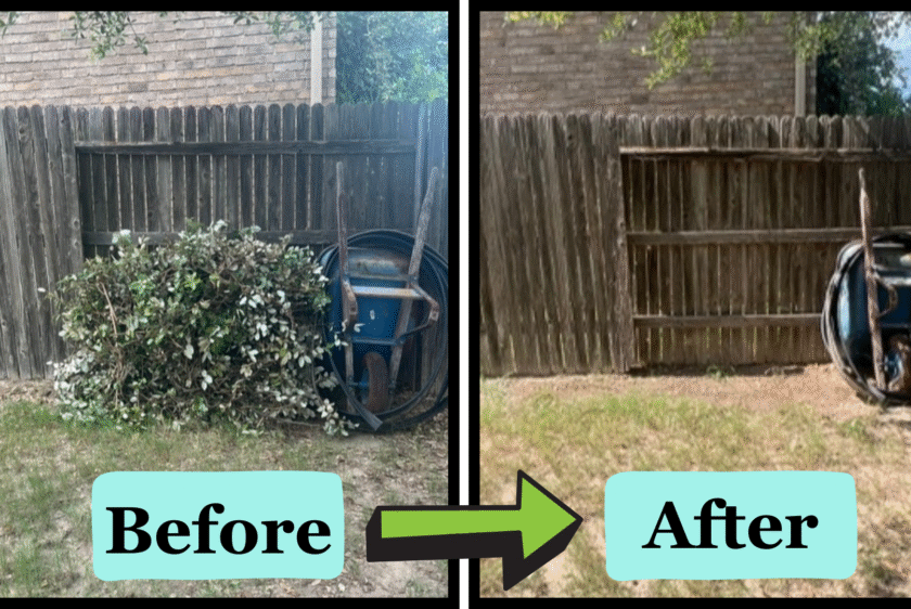 Before.zip - 12 - Copy